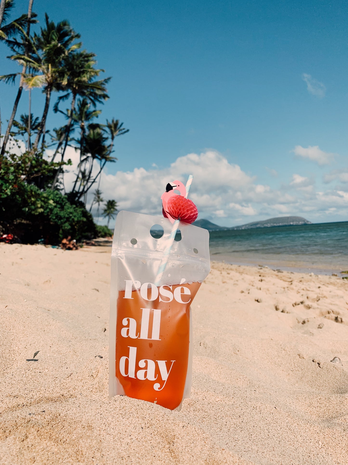 Rosé All Day Drink Pouches