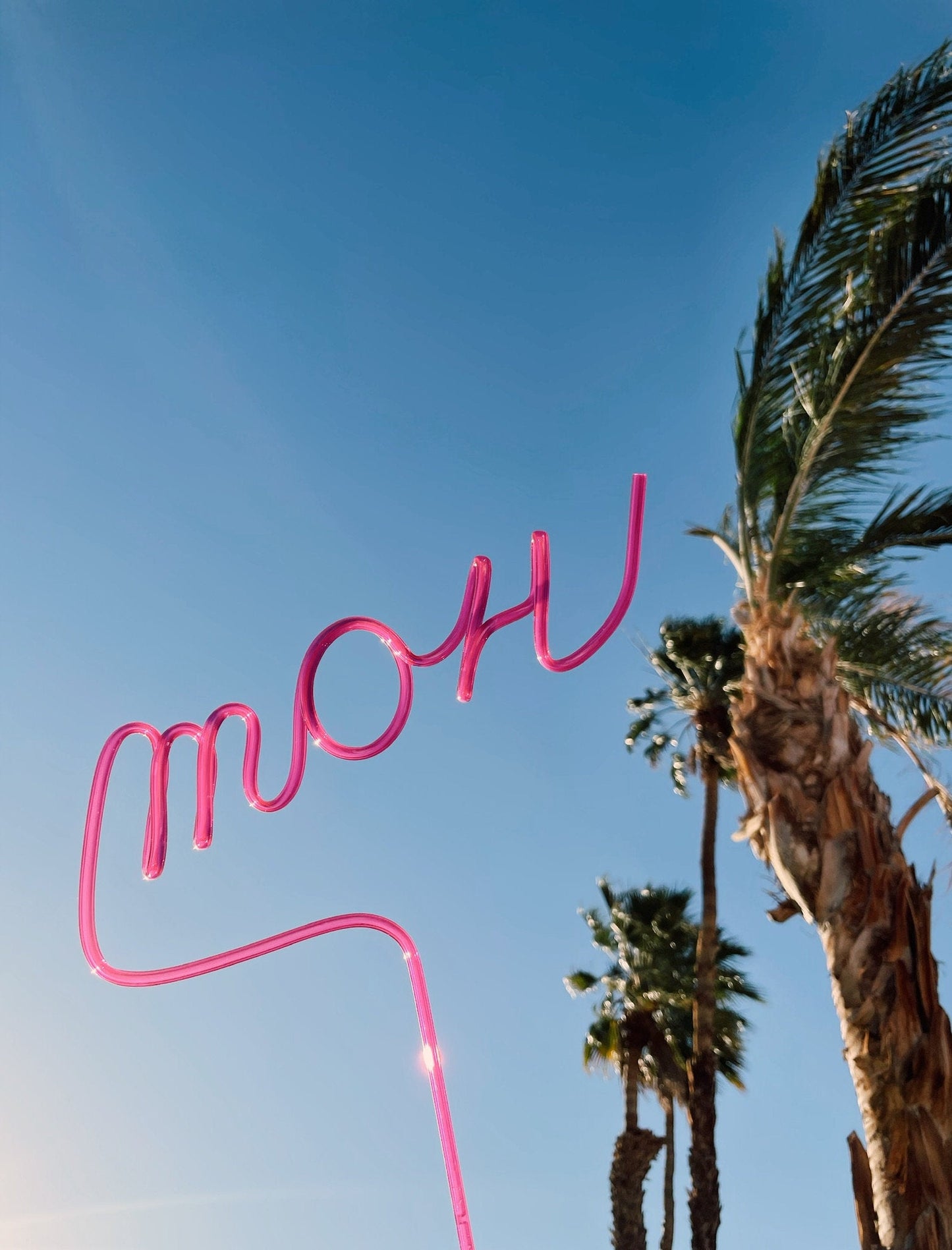 Maid of Honor Pink Silly Straw